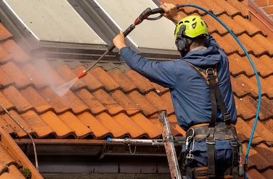 Démoussage et hydrofuge de toiture à Bornambusc